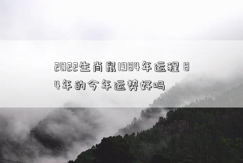 2022生肖鼠1984年运程 84年的今年运势好吗