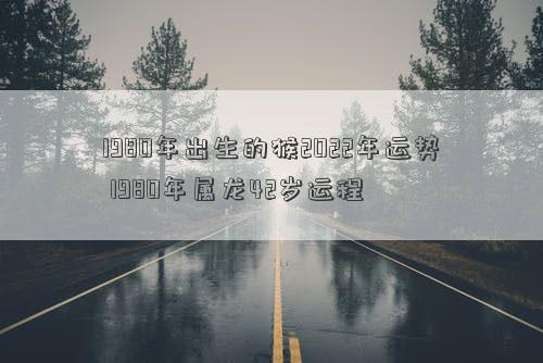 1980年出生的猴2022年运势 1980年属龙42岁运程