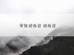 梦见拔白发 拔白发