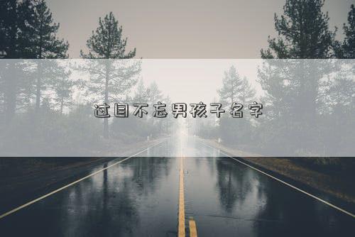 过目不忘男孩子名字