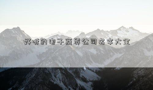 好听的电子商贸公司名字大全