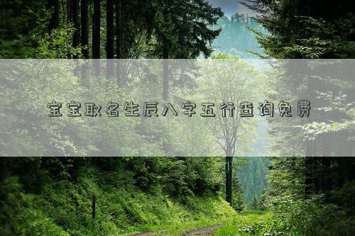 宝宝取名生辰八字五行查询免费