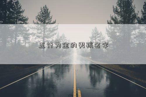 五行为金的男孩名字