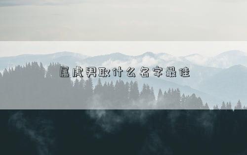 属虎男取什么名字最佳