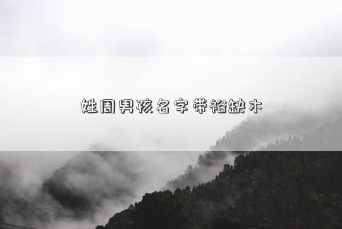 姓周男孩名字带裕缺木