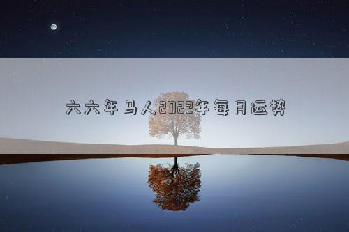 六六年马人2022年每月运势