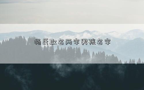 杨氏取名两字男孩名字