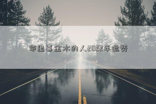 命里喜金水的人2022年运势