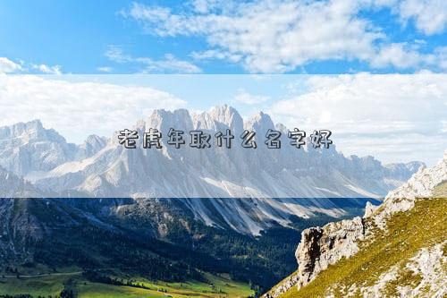 老虎年取什么名字好