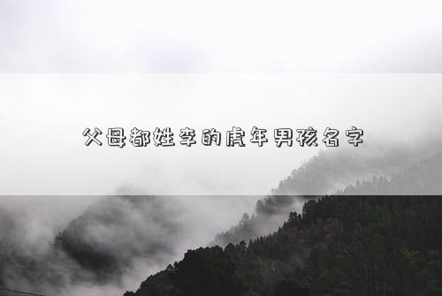 父母都姓李的虎年男孩名字