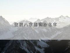 生辰八字查询取名字