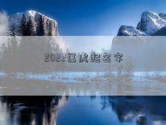 2022属虎起名字