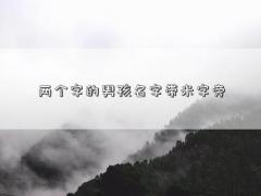 两个字的男孩名字带米字旁