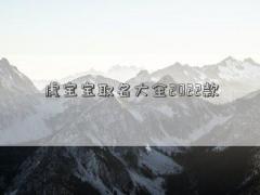 虎宝宝取名大全2022款