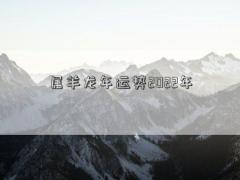 属羊龙年运势2022年