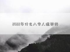 2022年什么八字人运势好