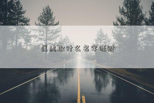 属虎取什么名字旺财