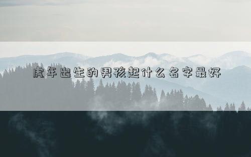 虎年出生的男孩起什么名字最好