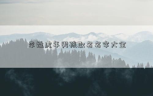 李姓虎年男孩取名名字大全