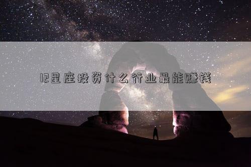 12星座投资什么行业最能赚钱