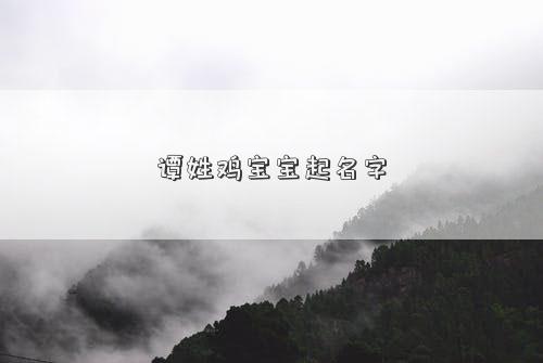 谭姓鸡宝宝起名字