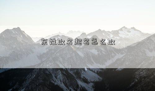 东姓取名起名怎么取