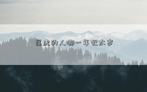 属虎的人哪一年犯太岁