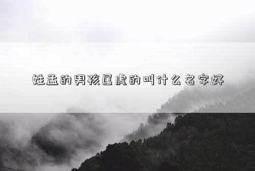 姓孟的男孩属虎的叫什么名字好