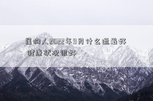 属狗人2022年9月什么运最好  健康状况很好