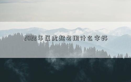 2022年属虎起名用什么字好