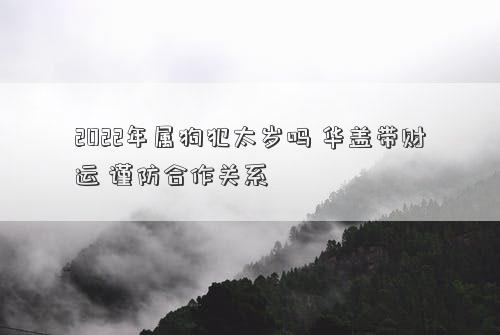 2022年属狗犯太岁吗 华盖带财运 谨防合作关系