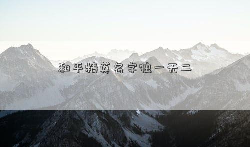 和平精英名字独一无二