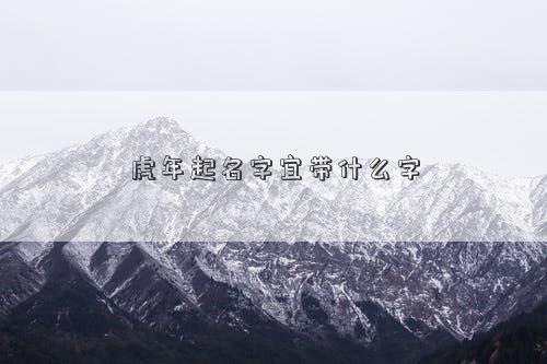 虎年起名字宜带什么字