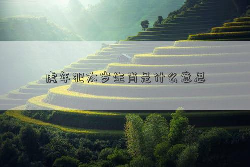 虎年犯太岁生肖是什么意思