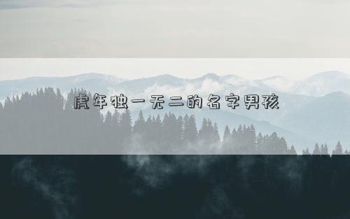 虎年独一无二的名字男孩