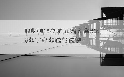 17岁2005年的属鸡人在2022年下半年运气运势