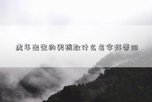 虎年出生的男孩取什么名字好带阳