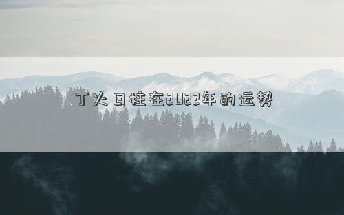 丁火日柱在2022年的运势