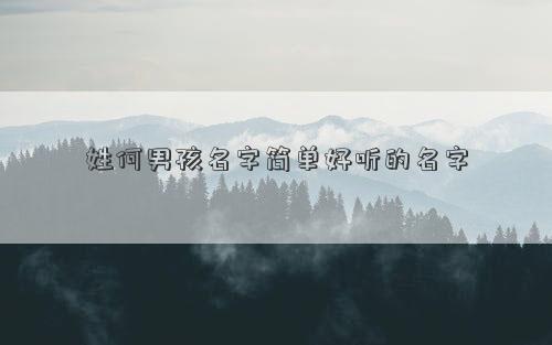 姓何男孩名字简单好听的名字