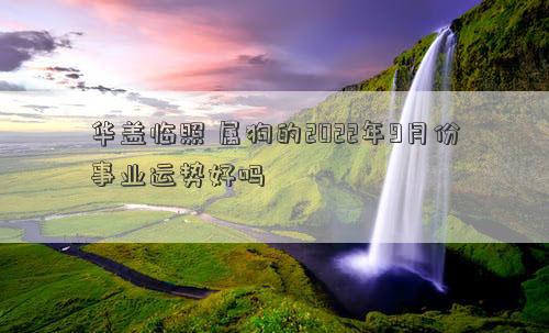 华盖临照 属狗的2022年9月份事业运势好吗