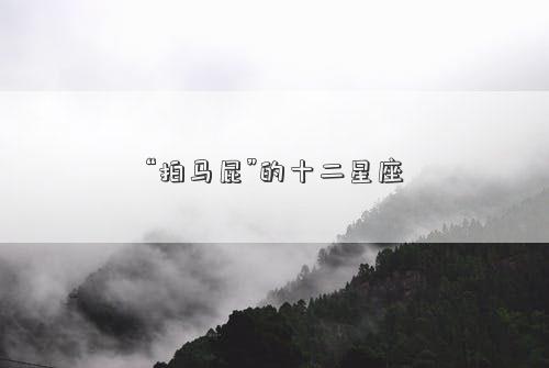 “拍马屁”的十二星座