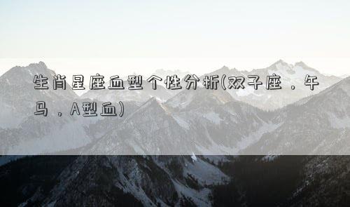 生肖星座血型个性分析(双子座，午马，A型血)