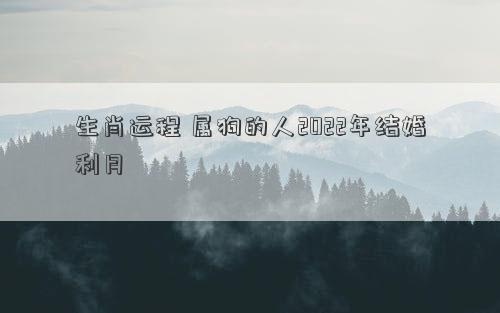 生肖运程 属狗的人2022年结婚利月