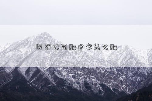 医药公司取名字怎么取