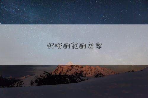 好听的花的名字