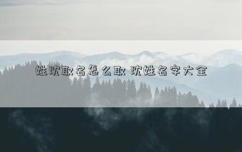 姓沈取名怎么取 沈姓名字大全