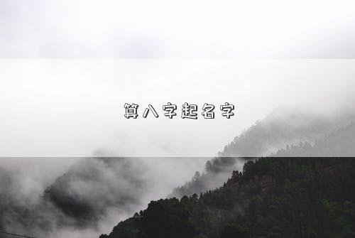 算八字起名字