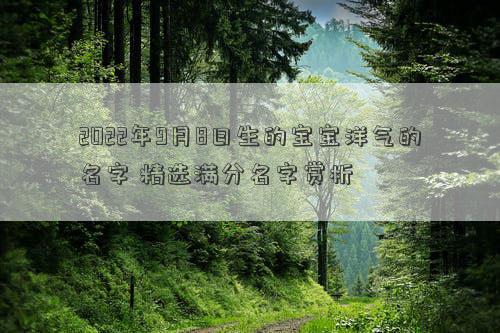 2022年9月8日生的宝宝洋气的名字 精选满分名字赏析