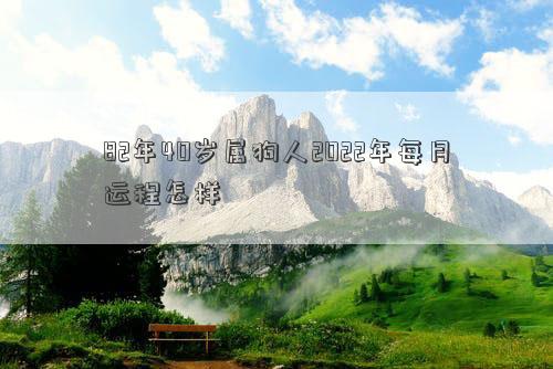 82年40岁属狗人2022年每月运程怎样