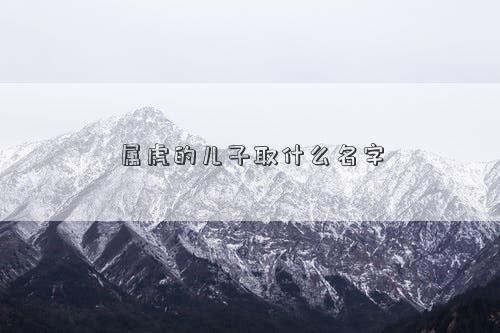 属虎的儿子取什么名字